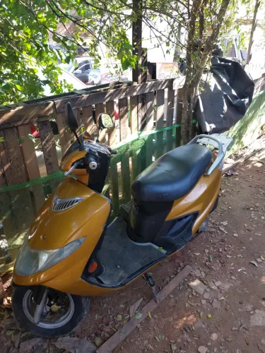 Burgman 2009