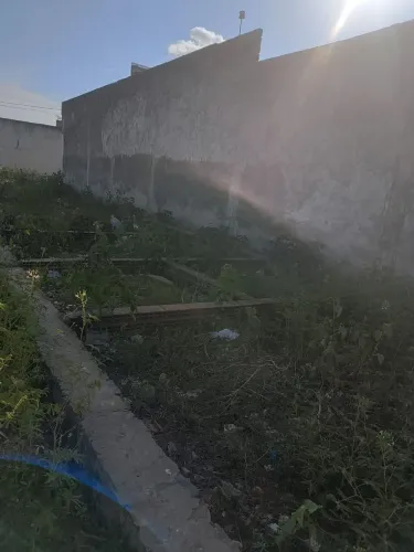 Vende Terreno 5/25 em Itabaiana 