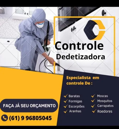 Dedetização 