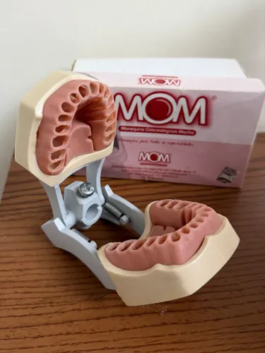 Manequim Endo Odontologia 
