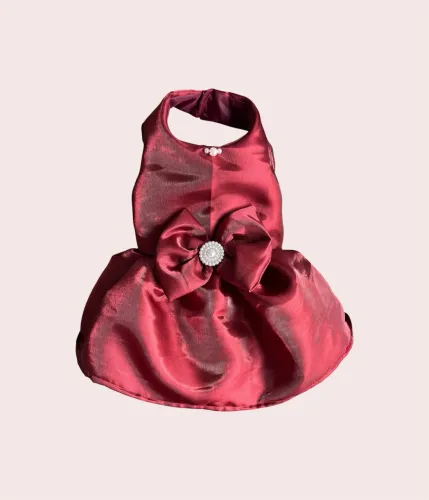 Vestido luxo Pet para cachorro
