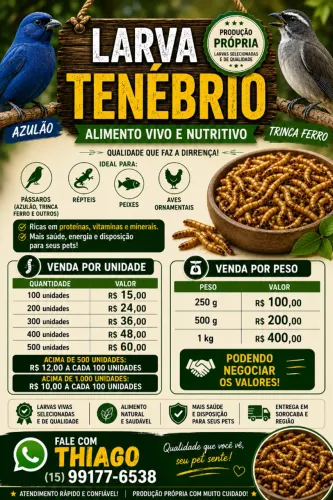 Produção própria de larvas de tenébrio vivas, selecionadas e de qualidade. Ideal para azul