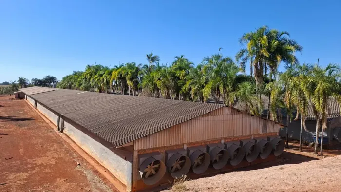 Vendo Propriedade Contendo 05 Granjas Excelente Localização Núcleo Rural Taquara-DF ! 7.50