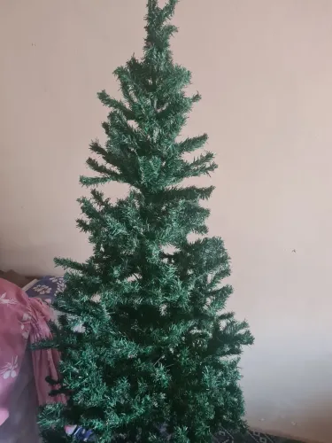 Árvore de natal