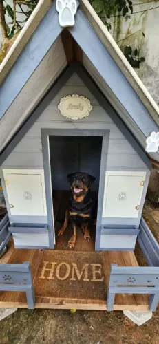 Casinha de cachorro ,casinha pet