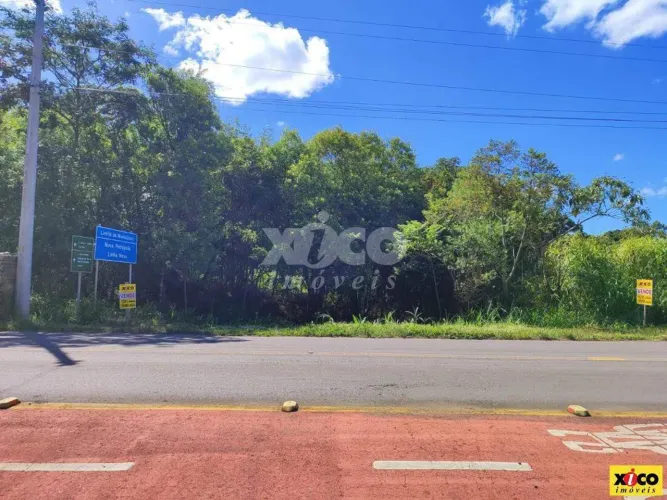 TERRENO PARA VENDA EM NOVA PETRÓPOLIS / RS NO BAIRRO LINHA OLINDA