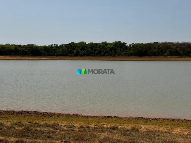 FAZENDA À VENDA - 827 HECTARES - ABAETÉ (MG)