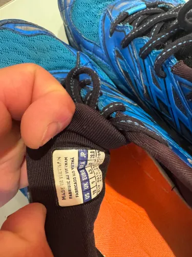 Mizuno prophecy