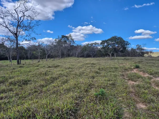 Imóvel para venda com 30hectares em Área Rural de Unaí - Unaí - MG