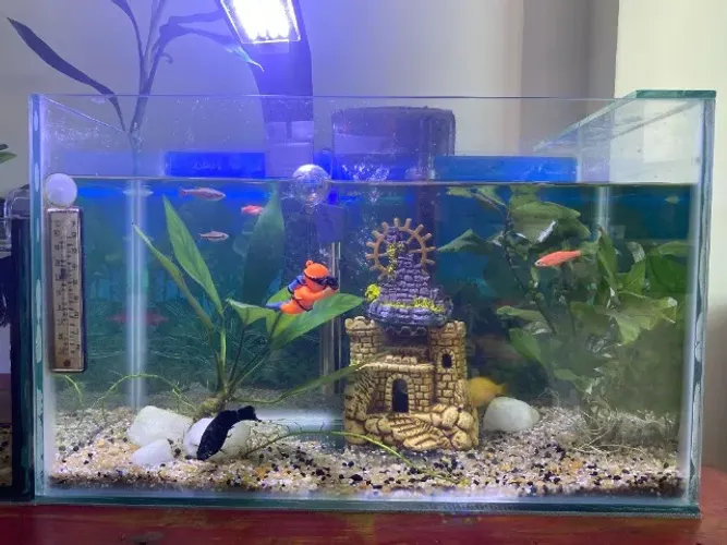 Vendo Aquario 35 litros