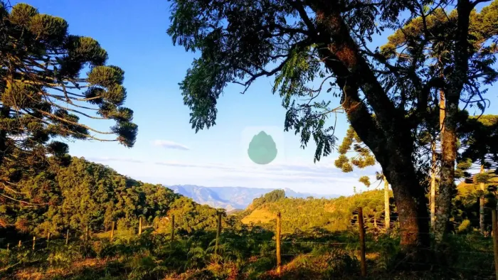 Terreno à venda, 72.600 m² por R$ 1.600.000 - Bairro dos Venâncios - Gonçalves/MG