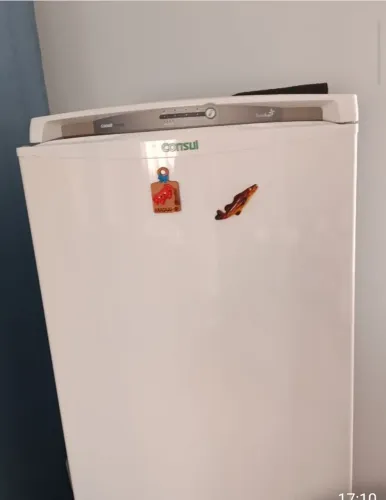Troco geladeira Consul por freezer vertical 
