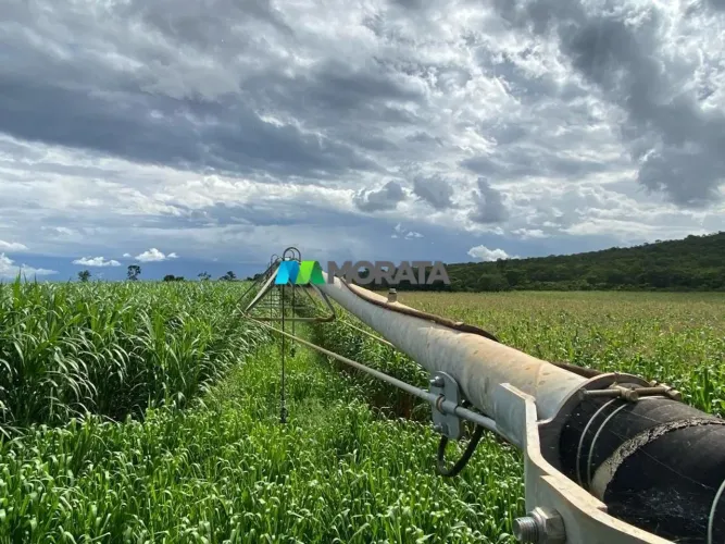 FAZENDA À VENDA - 236 HECTARES - CORINTO (MG)
