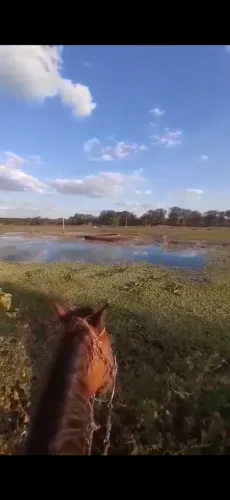 Vendo fazenda em Pombal PB