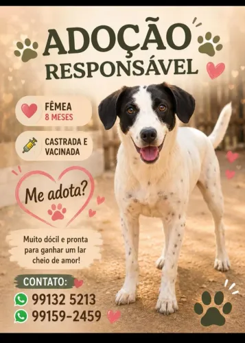 Adoção responsável 