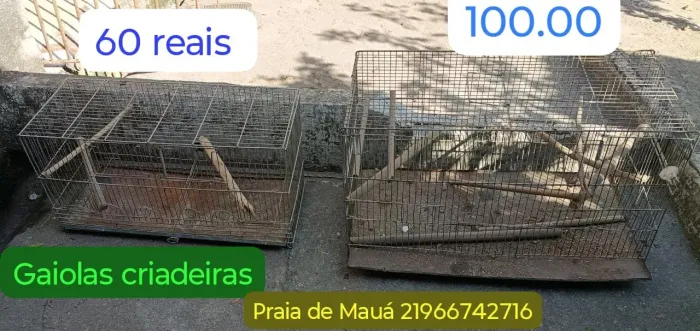 Viveiros e gaiolas 