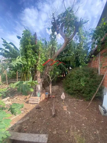 Terreno para Venda em Sumaré, Parque Residencial Salerno (Nova Veneza)