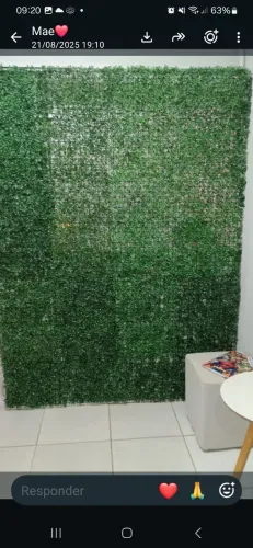 Vendo esse painel de folhagem