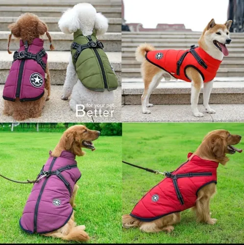 Casaco Colete Impermeável para Pet Novo!!