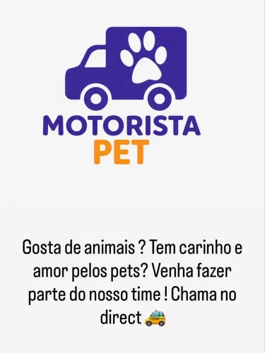 Motorista Pet