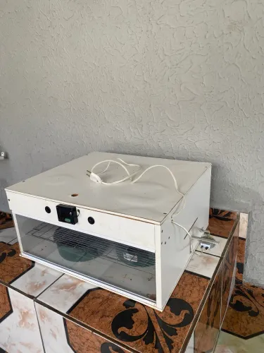 Vendo chocadeira pra 80 ovos