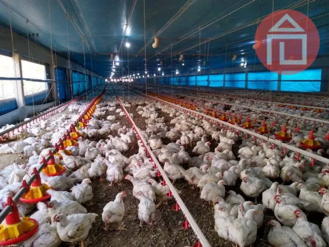 Galpão à venda, 20000 m² por R$ 13.000.000,00 - Zona Rural - Morro Agudo/SP