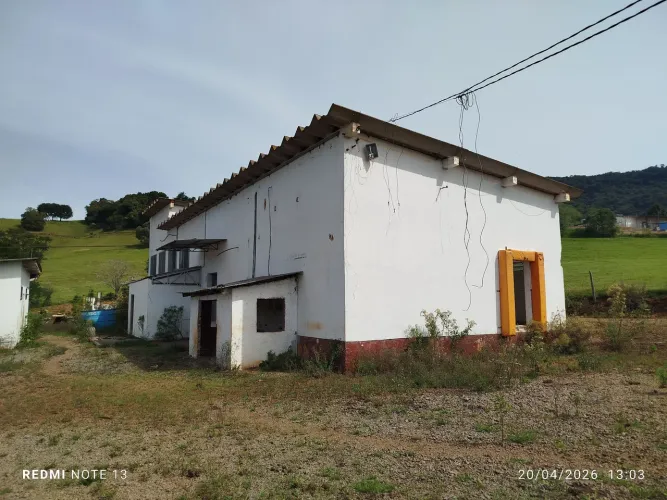 Abatedouro frigorífico a venda