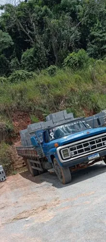 Ford F-11000
