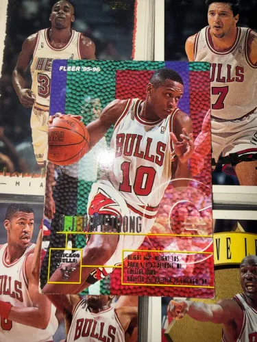  B.J. Armstrong - 1995-96 Fleer Metal #105
