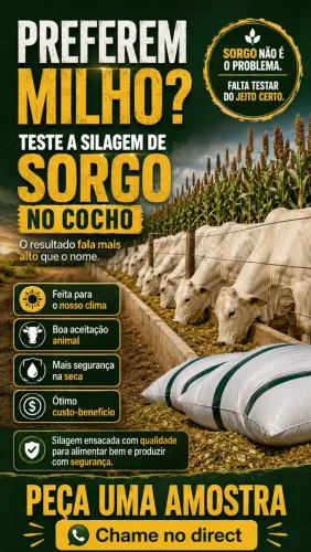 Silagem de Sorgo Ensacada 25 kg ? Para Vacas Leiteiras e Gado
