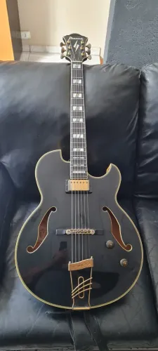 Guitarra Acústica Ibanez PM 100 Japão
