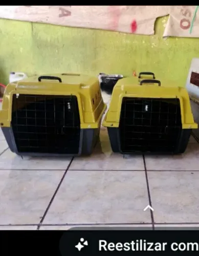 transporte para pets