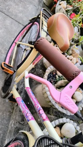 BICICLETA RETRÔ