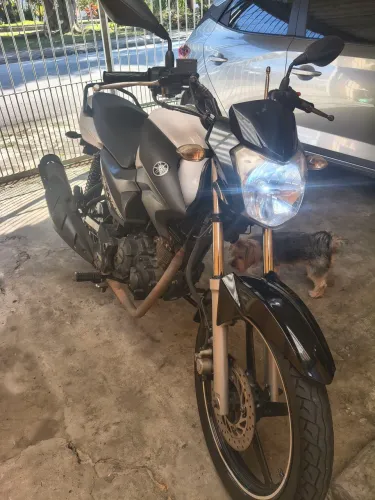 Factor 150 2020