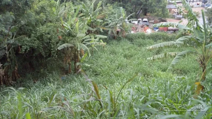 TERRENO,0 Dormitorio(s) bairro Brigadeiro Tobias