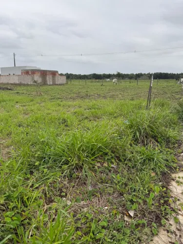 Terrenos Cidade Jardim