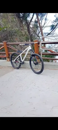 Vendo bike Absolute brutus