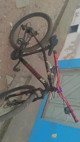 Bicicleta