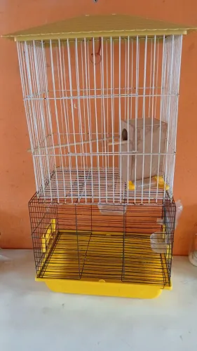 2 viveiros para calopsita