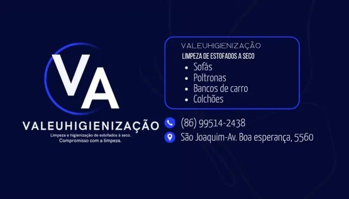 Faça a limpeza e higienização e veja seus estofados novo de novo .