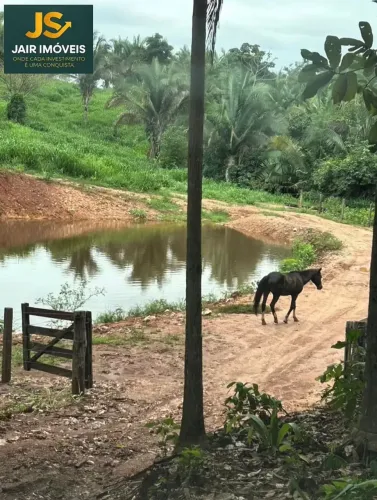 Fazenda para venda na região de São Geraldo do Araguaia - PA