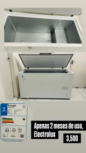 Freezer vertical