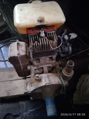 Motor a gasolina dois tempos 