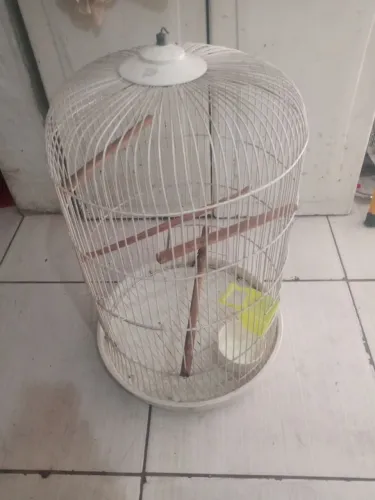 gaiola piu piu 