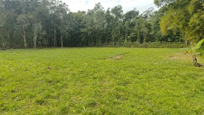 Lindo terreno 10 metros de frente por 30 metros de profundidade.