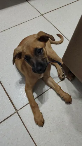 Doação 