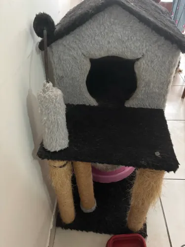 Casa de gato 
