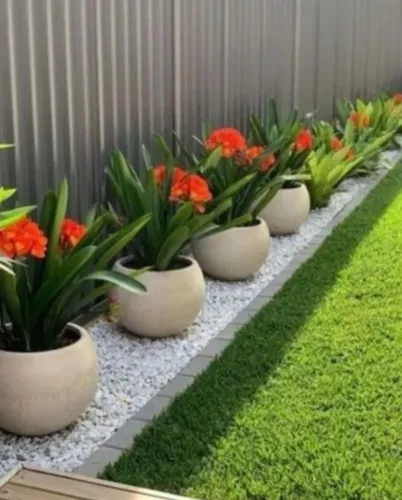 Vasos, Plantas, Design moderno para sua residência, empresa e condomínio