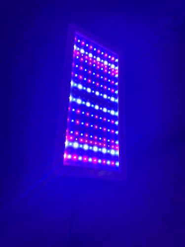 Led para cultivo inboor