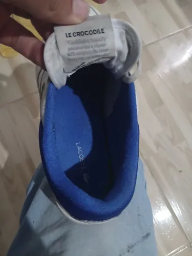 Tenis lacoste